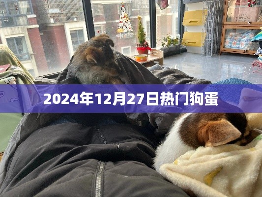 狗蛋的热门时刻，2024年12月27日不容错过