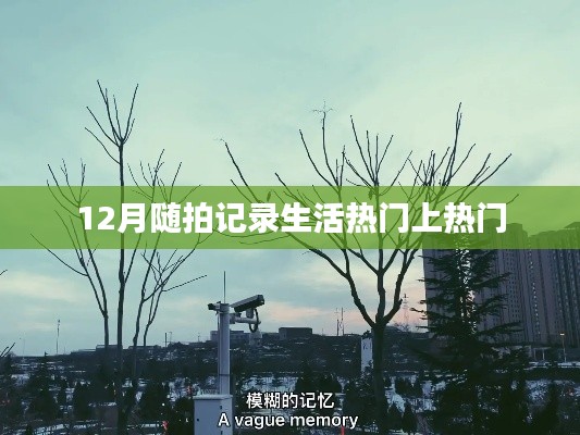 12月生活随拍，记录美好，热门分享