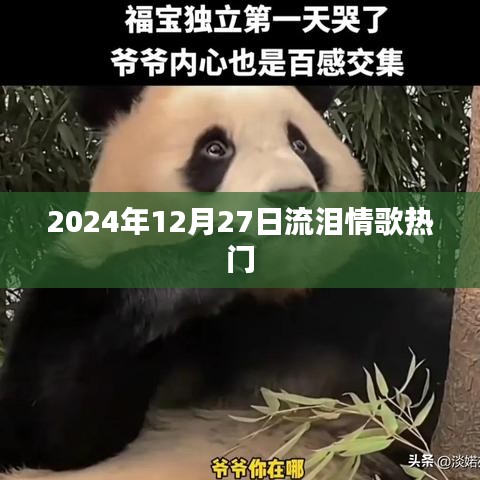 流泪情歌风靡至2024年12月27日，情感旋律触动人心