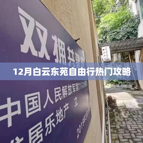 白云东苑自由行指南，热门攻略揭秘