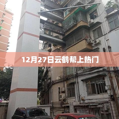 云鹤帮上热门，12月27日最新热点资讯