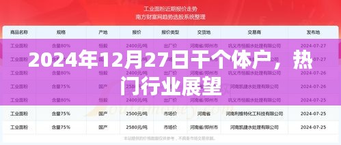 2024年个体户热门行业展望，行业趋势分析