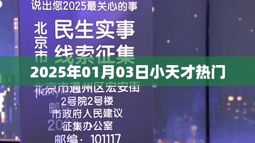 小天才热门资讯，2025年1月3日动态概览