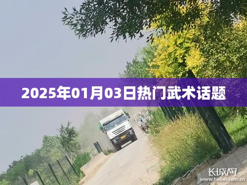 武术话题热议日，聚焦2025年1月3日动态