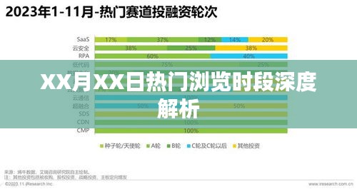 热门时段深度解析，XX月XX日浏览数据透视