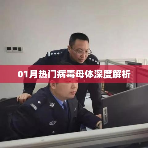 深度解析一月份热门病毒母体