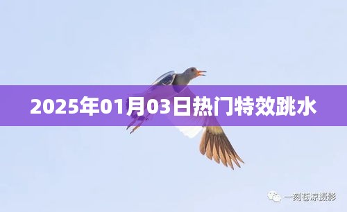 跳水运动，揭秘2025年热门特效跳水动作的魅力