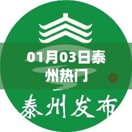 泰州最新热门事件，01月03日关注焦点