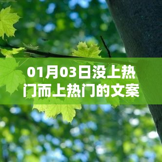 没上热门却成焦点，揭秘热门文案背后的秘密