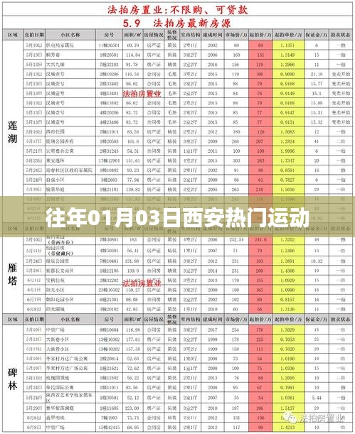 西安往年一月初热门运动活动盘点