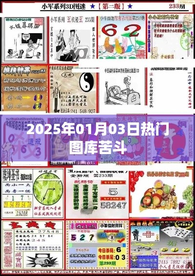 2025年热门图库大比拼