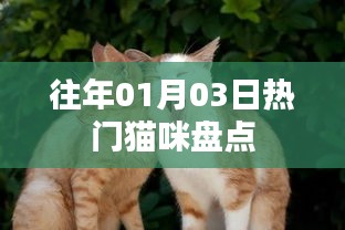 精选猫咪盘点，历年一月三日最受瞩目喵星风采