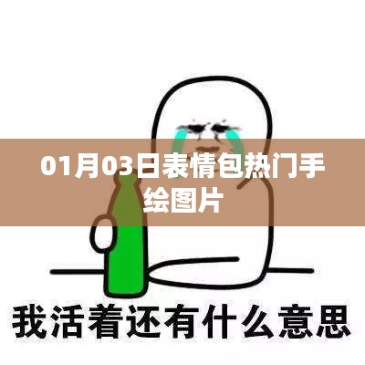 01月03日表情包手绘热潮，精选图片大放送