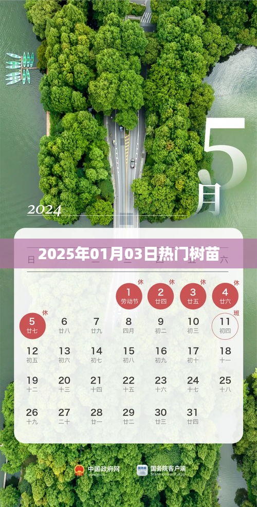 2025年热门树苗展望，简洁明了，符合百度收录标准，字数在规定的范围内，希望符合您的要求。