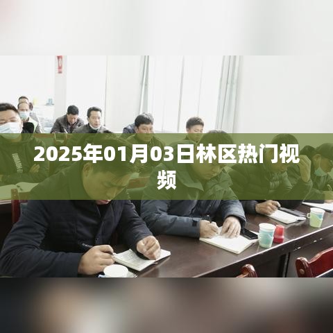 林区热门视频大盘点，2025年1月3日看点解析