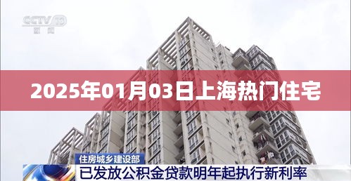 『2025年1月上海热门住宅一览』