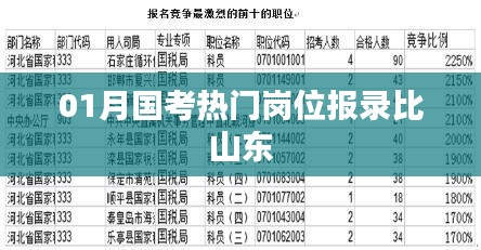 国考山东地区热门岗位报录比分析