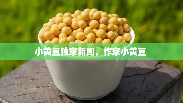 小黄豆独家新闻，作家小黄豆 