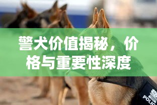 警犬价值揭秘，价格与重要性深度解析