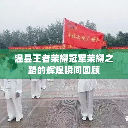 温县王者荣耀冠军荣耀之路的辉煌瞬间回顾