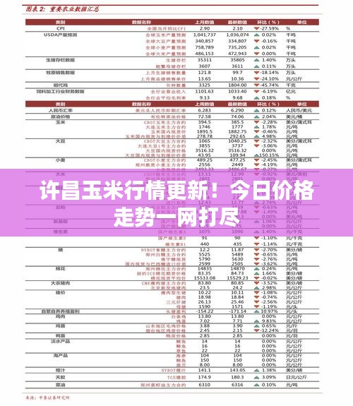 许昌玉米行情更新！今日价格走势一网打尽