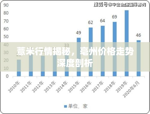 薏米行情揭秘，亳州价格走势深度剖析