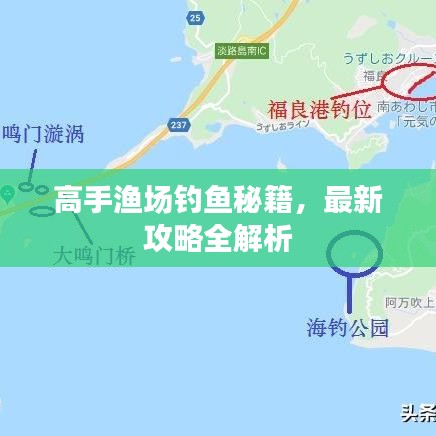 高手渔场钓鱼秘籍，最新攻略全解析