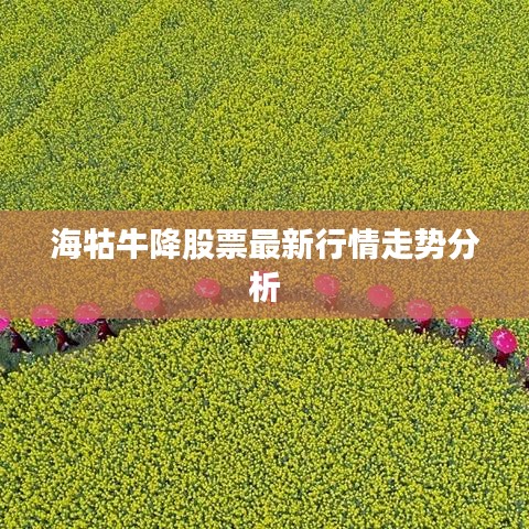 海牯牛降股票最新行情走势分析