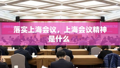 落实上海会议，上海会议精神是什么 