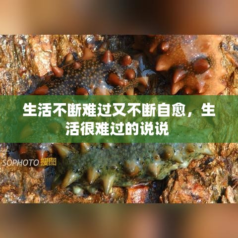 生活不断难过又不断自愈，生活很难过的说说 