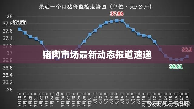 猪肉市场最新动态报道速递