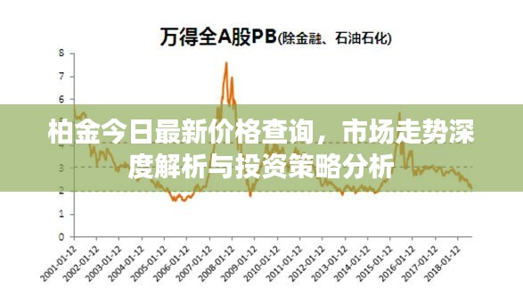 柏金今日最新价格查询，市场走势深度解析与投资策略分析