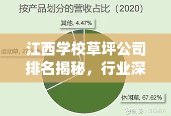 江西学校草坪公司排名揭秘，行业深度分析与前景展望