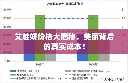 艾魅妍价格大揭秘，美丽背后的真实成本！