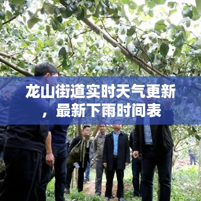 龙山街道实时天气更新，最新下雨时间表