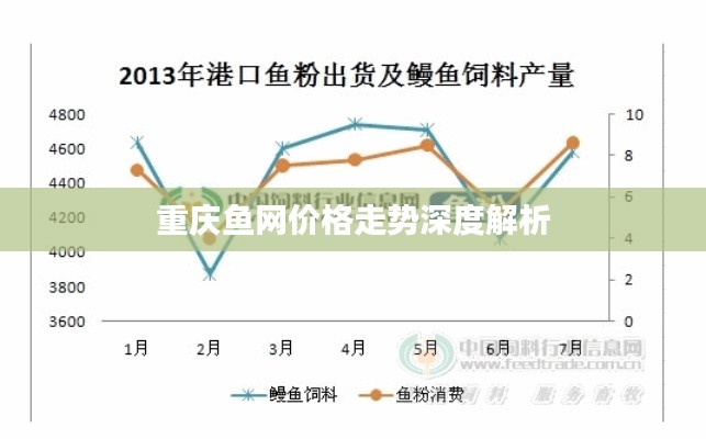 重庆鱼网价格走势深度解析