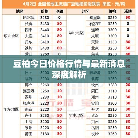 豆柏今日价格行情与最新消息深度解析