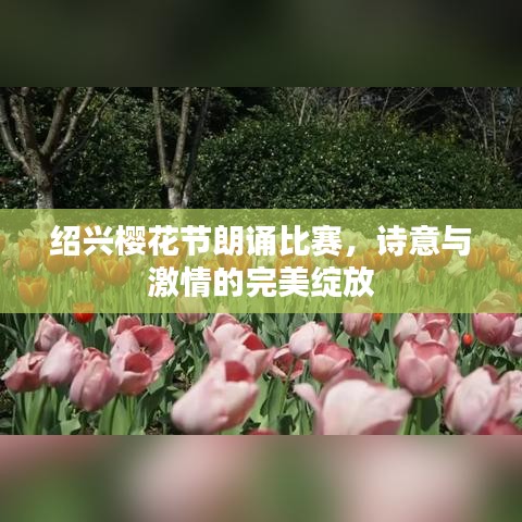 绍兴樱花节朗诵比赛，诗意与激情的完美绽放