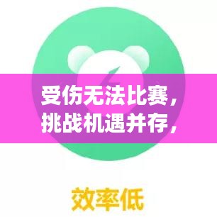 受伤无法比赛，挑战机遇并存，逆境中的选择与成长之路