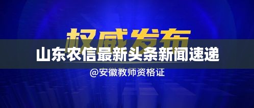 山东农信最新头条新闻速递