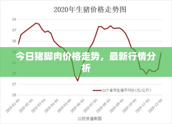 今日猪脚肉价格走势，最新行情分析