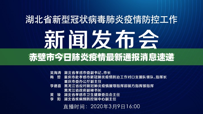 赤壁市今日肺炎疫情最新通报消息速递