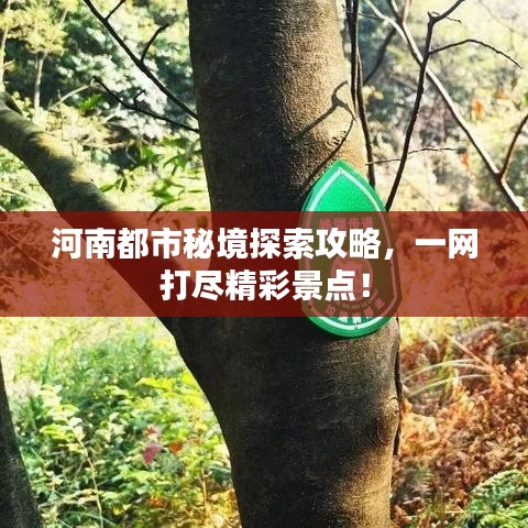 河南都市秘境探索攻略，一网打尽精彩景点！