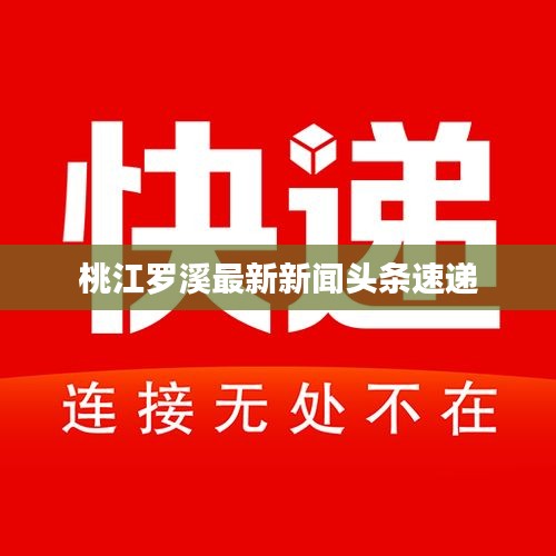 桃江罗溪最新新闻头条速递