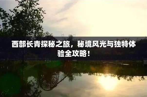 西部长青探秘之旅，秘境风光与独特体验全攻略！