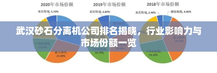 武汉砂石分离机公司排名揭晓，行业影响力与市场份额一览