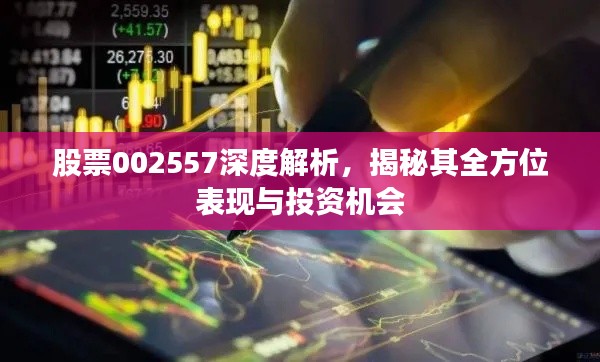 股票002557深度解析，揭秘其全方位表现与投资机会