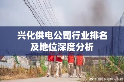 兴化供电公司行业排名及地位深度分析