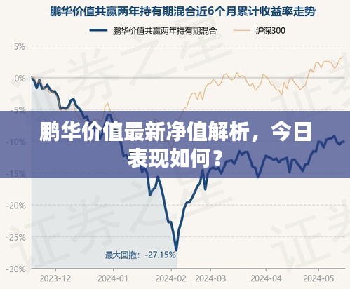 鹏华价值最新净值解析，今日表现如何？