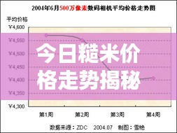 今日糙米价格走势揭秘，最新行情分析报告